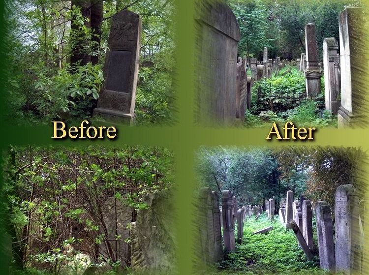 Four views: overgrown cemetery paths before clearing, and the same paths after