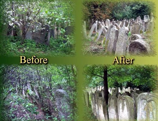 Four views: rows of headstones overgrown with vegetation, and the same rows after clearing