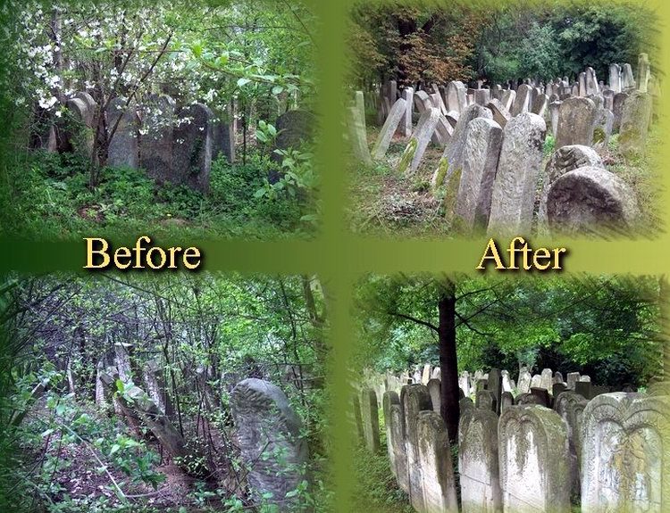 Four views: rows of headstones overgrown with vegetation, and the same rows after clearing