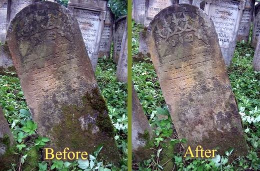 A leaning headstone covered with moss before cleaning, and after