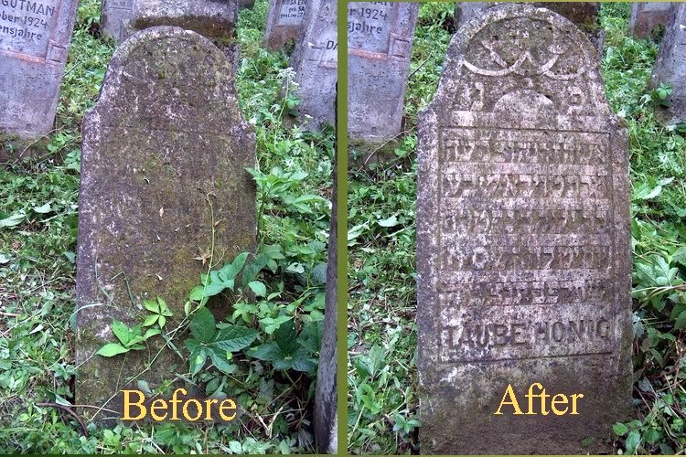 A headstone hidden by ivy before cleaning, and after, with its inscription legible