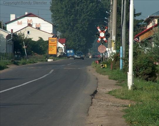 The road from Radautz towards the village of Marginea
