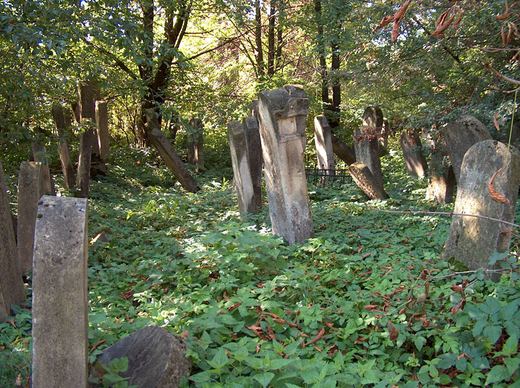 Old weathered gravestones