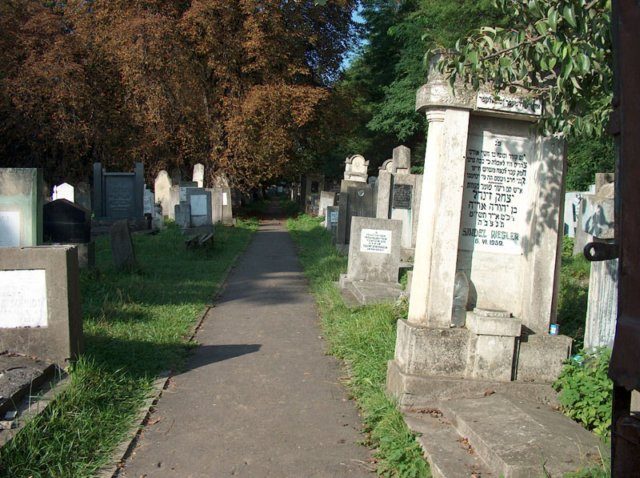 The main avenue of the cemetery, lined with headstones