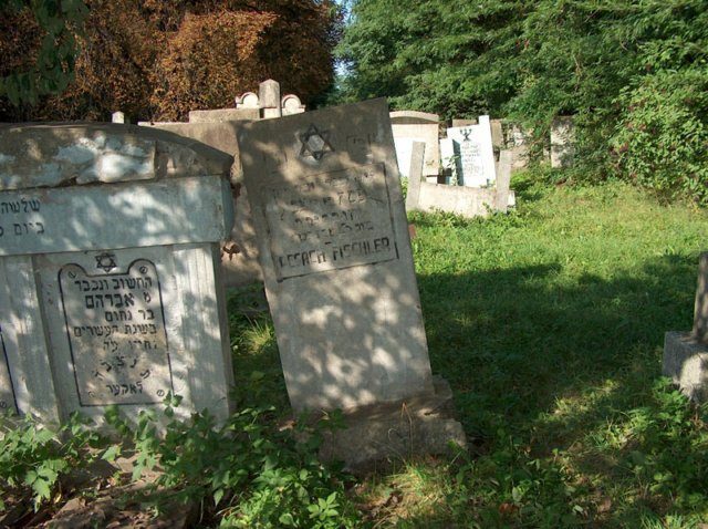 Headstone of Pesach Fischler