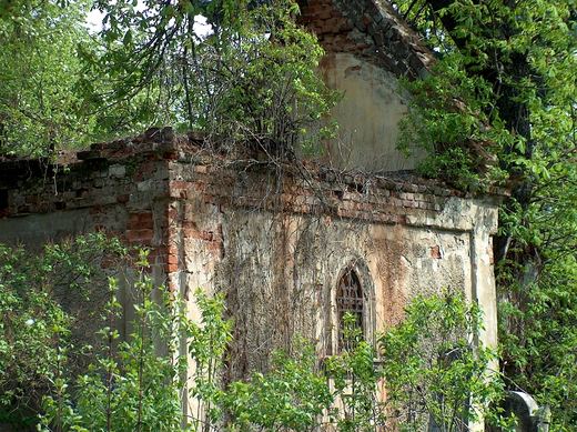 The tomb of Salomon Rudich