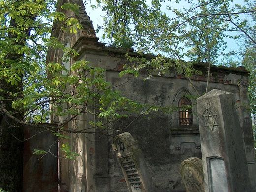 The tomb of Salomon Rudich, view 5